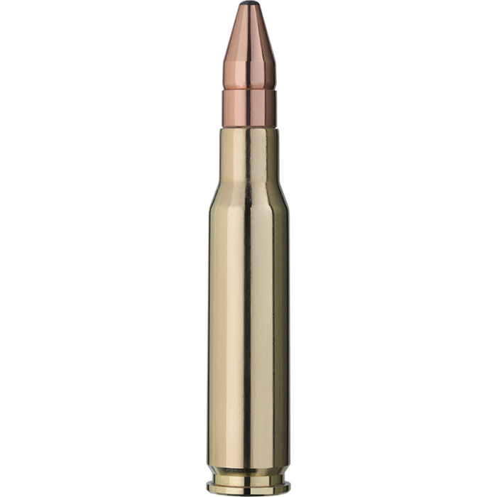 Amunicja RWS .308 Win. DK 10,7g